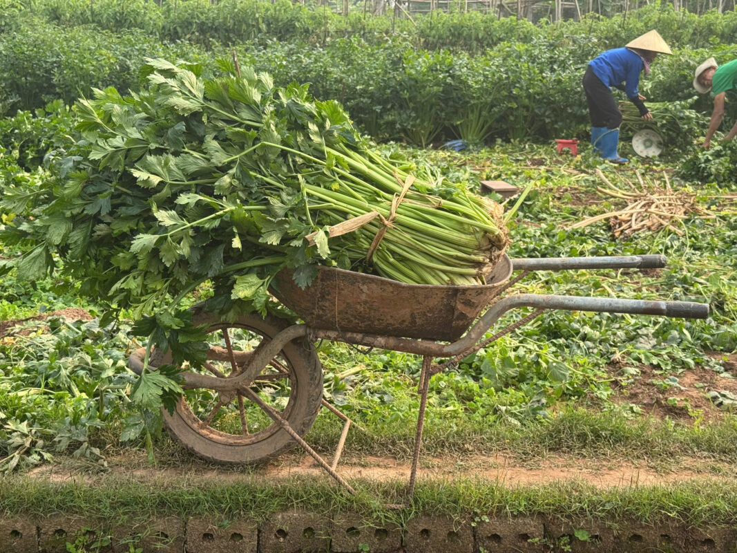 Thành lập chi nhánh Vinh Hà – Hà Nam